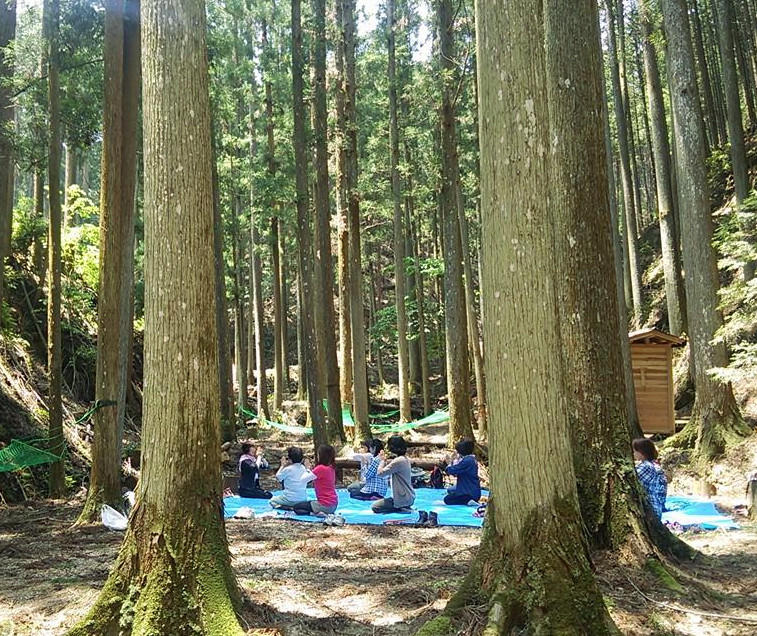 悠久の風景　吉野の道「吉野町森林セラピー 神仙峡 龍門の里コース」～森ヨガ体験～